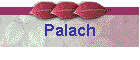 Palach